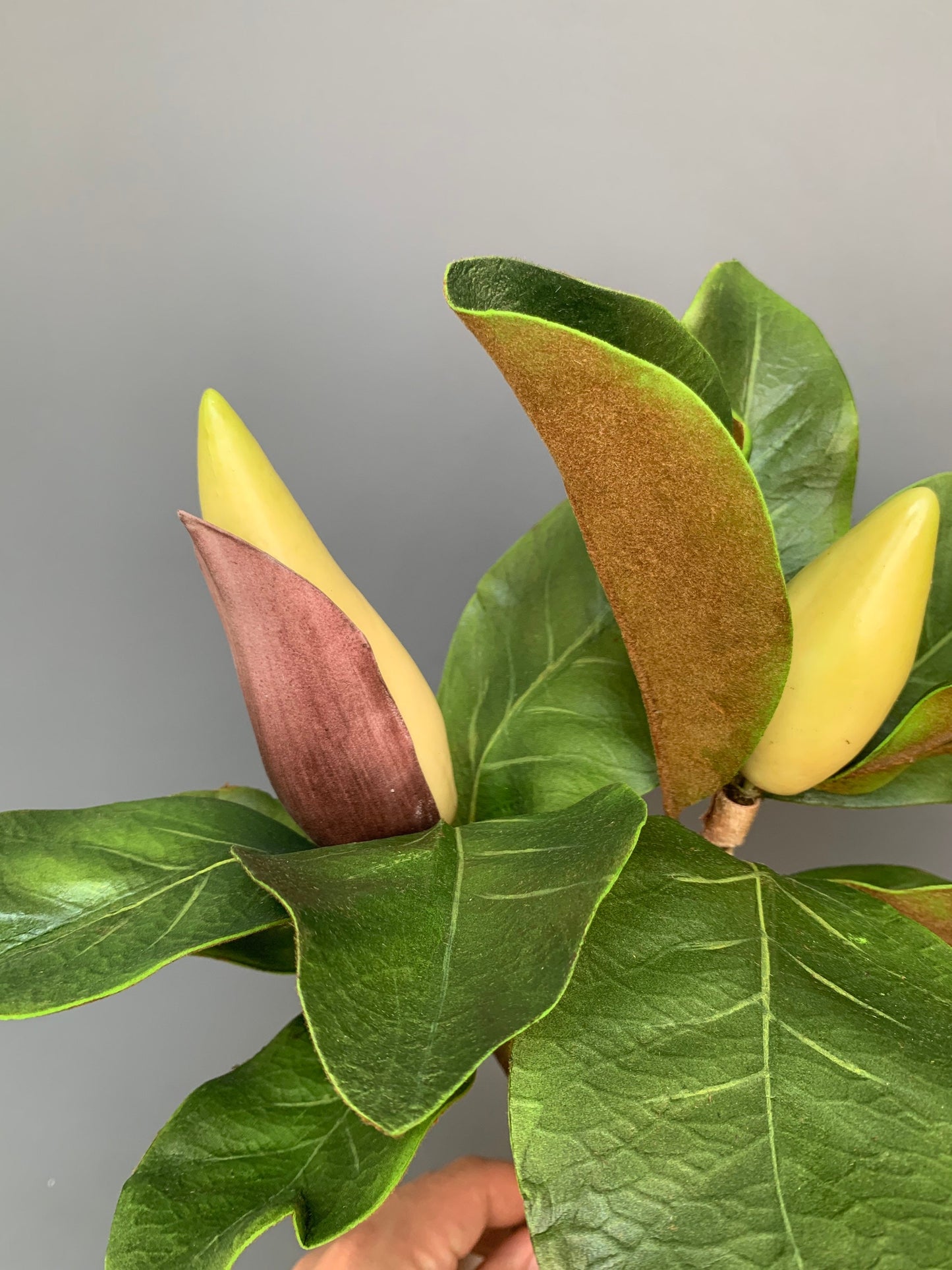 Premium Artificial Magnolia buds in leaf green artificial flower faux flower 24 inch