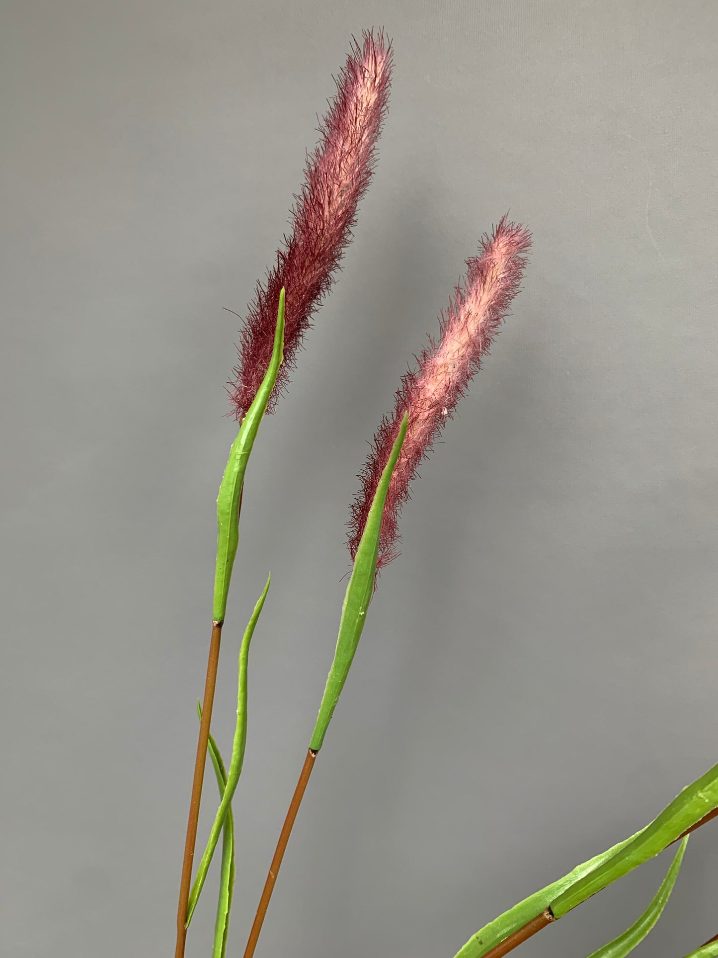 Premium Artificial green foxtail green bristle grass wild foxtail millet green artificial flower faux flower 33 inch