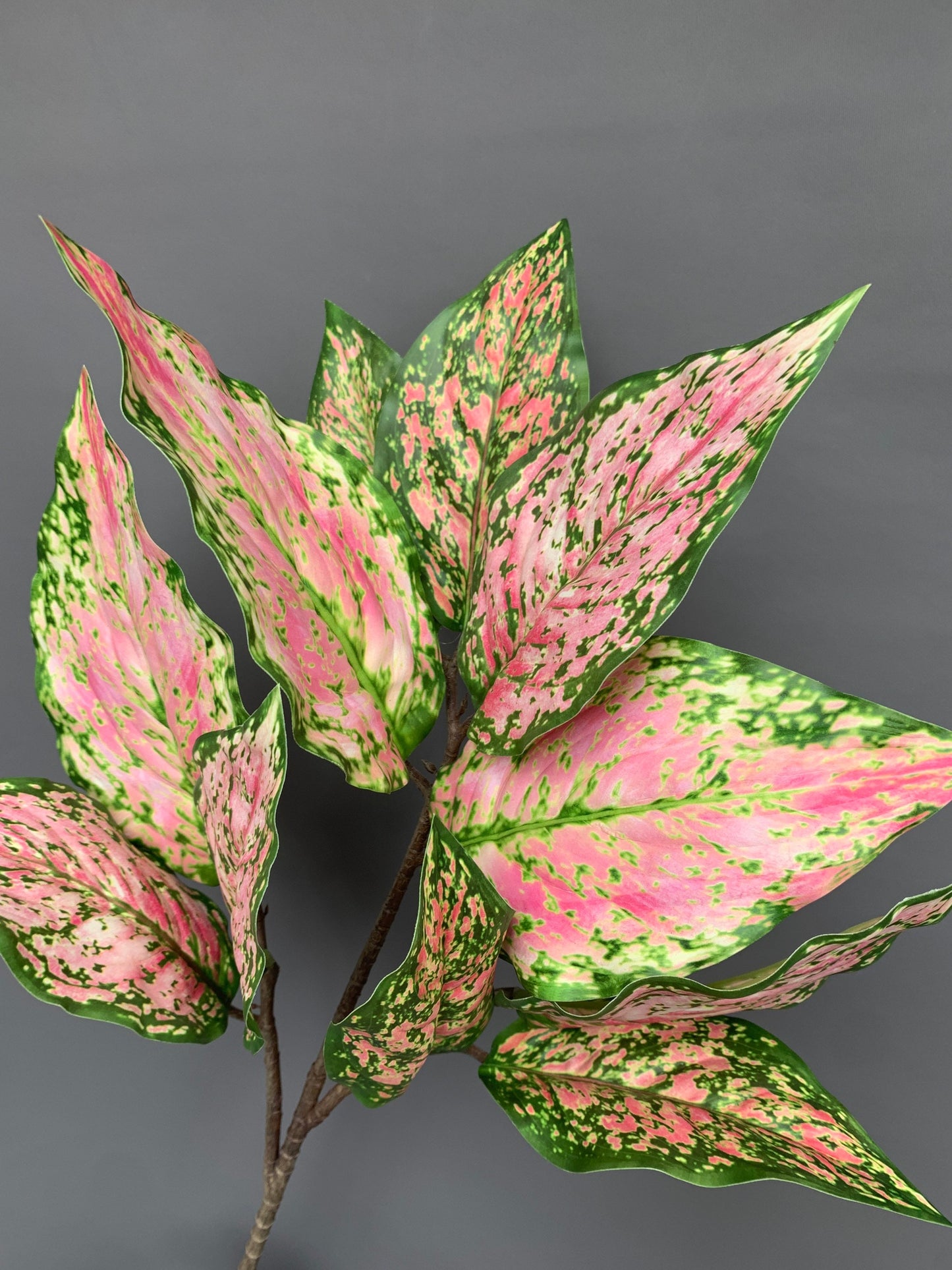 Premium Aglaonema Pink Star Chinese evergreen green artificial flower faux flower 31 inch