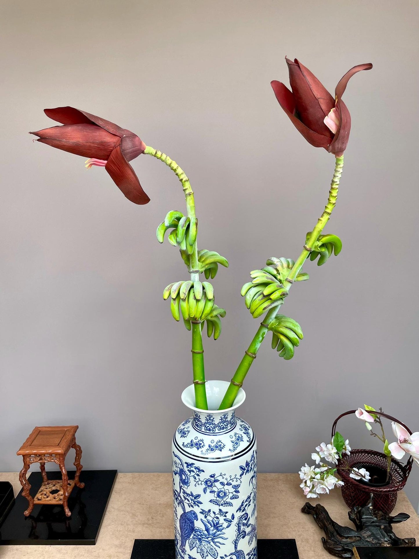 Tropical banana blossom with banana buds spring artificial flower extra large, single stem