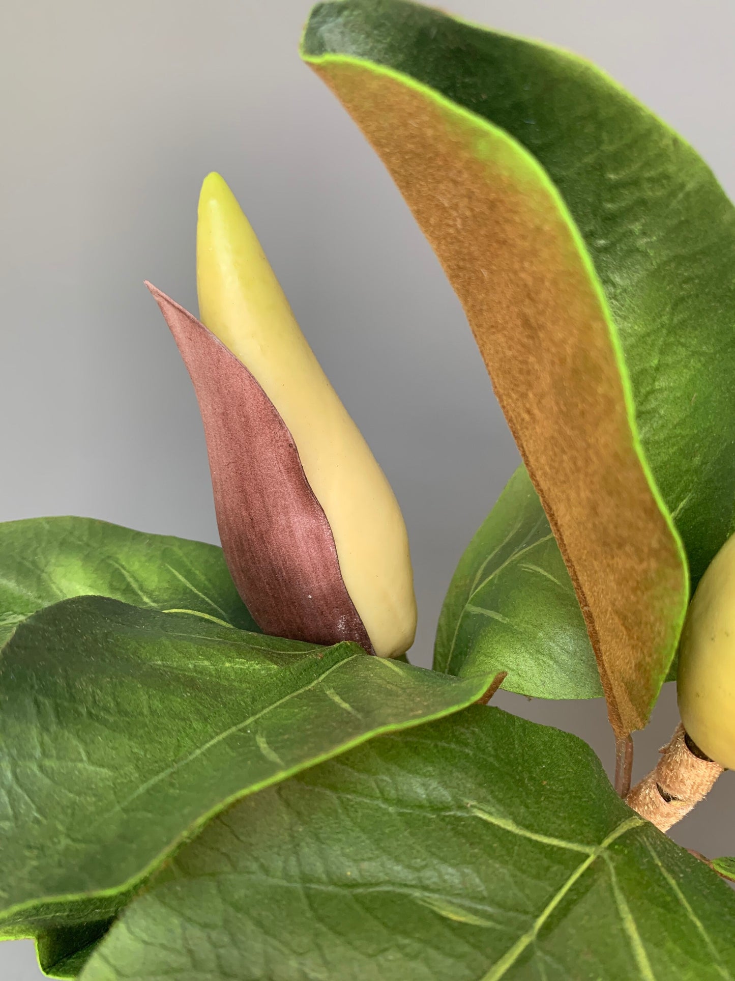 Premium Artificial Magnolia buds in leaf green artificial flower faux flower 24 inch