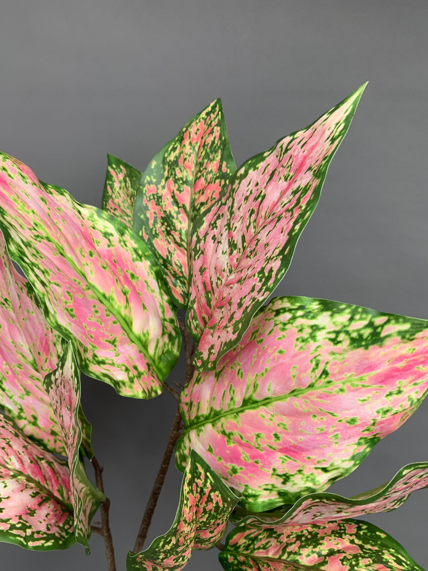 Premium Aglaonema Pink Star Chinese evergreen green artificial flower faux flower 31 inch
