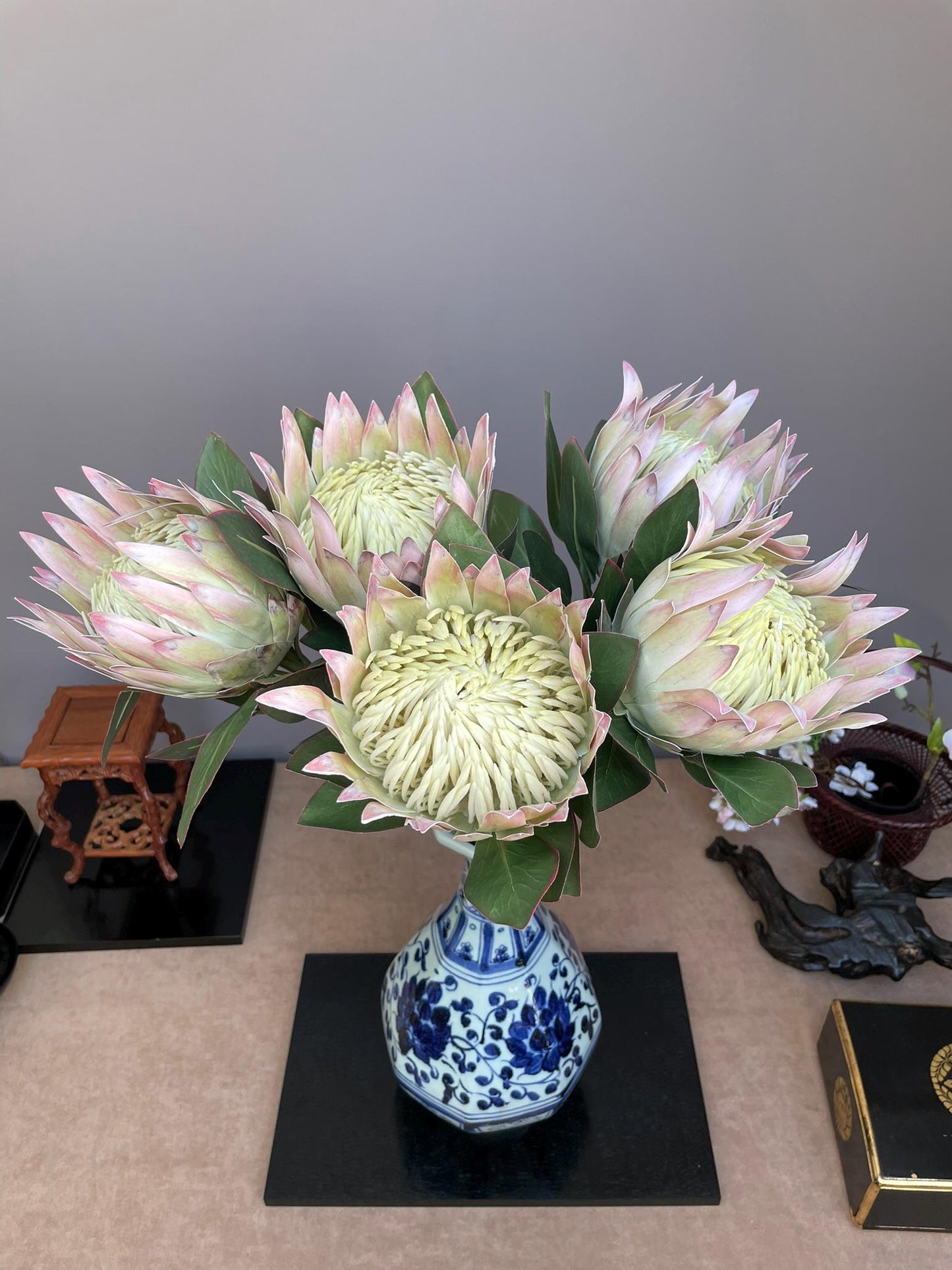 Giant Artificial Blush Pink King Protea Stem - Faux Pale Green & Pink Bloom - Exotic Tropical/Coastal Flower Head Decor(73cm)