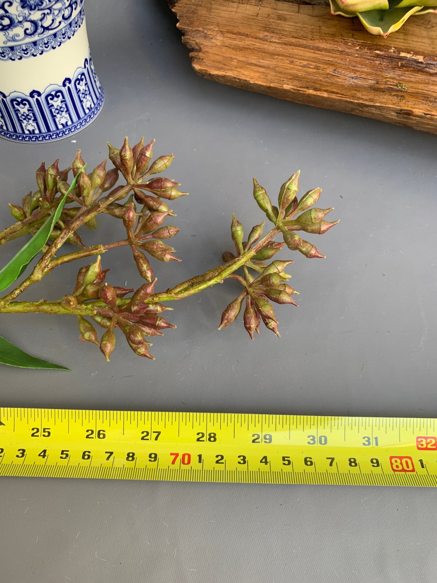 Premium Artificial Eucalyptus robusta tree green artificial flower faux flower 31 inch