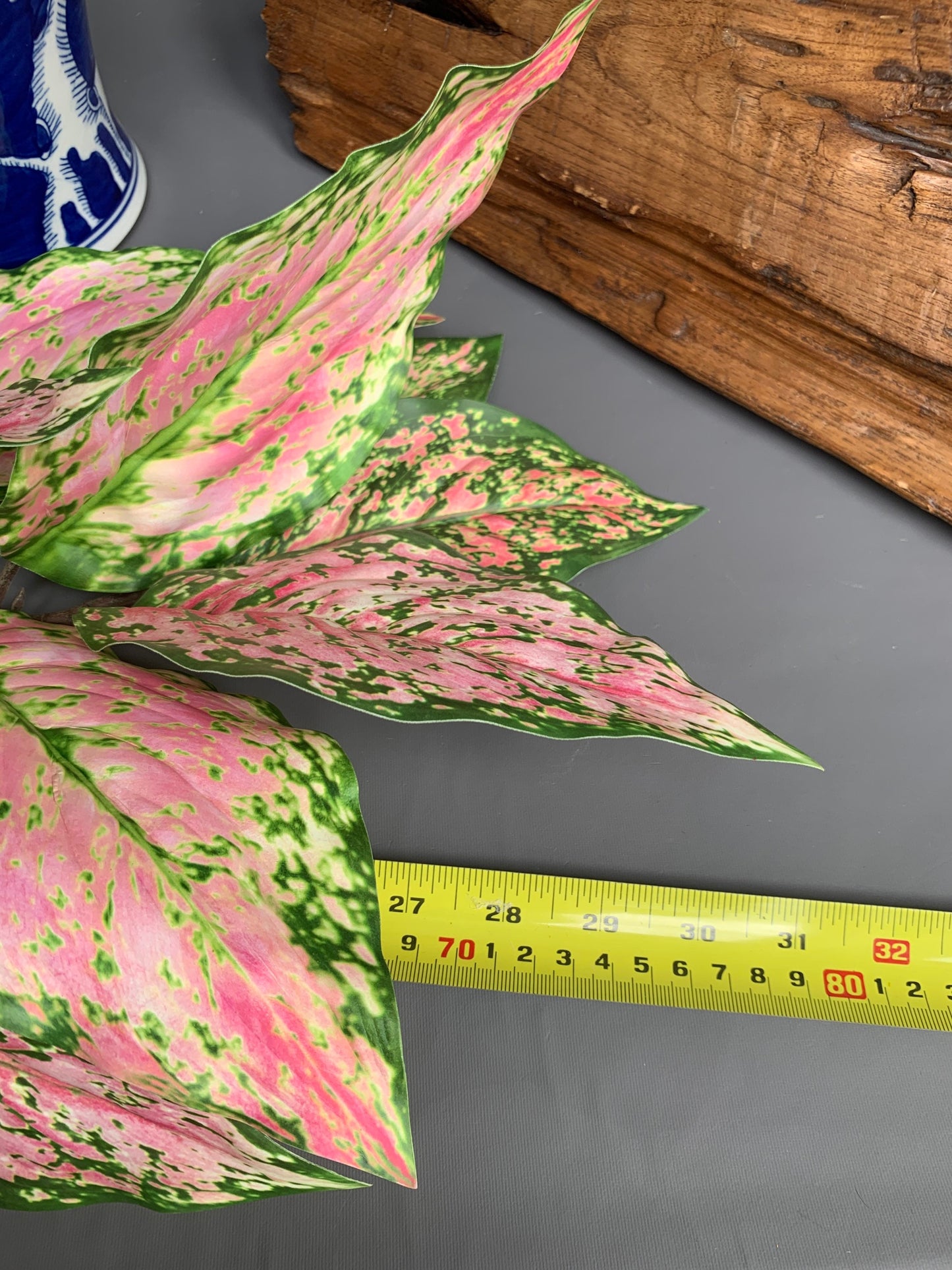 Premium Aglaonema Pink Star Chinese evergreen green artificial flower faux flower 31 inch