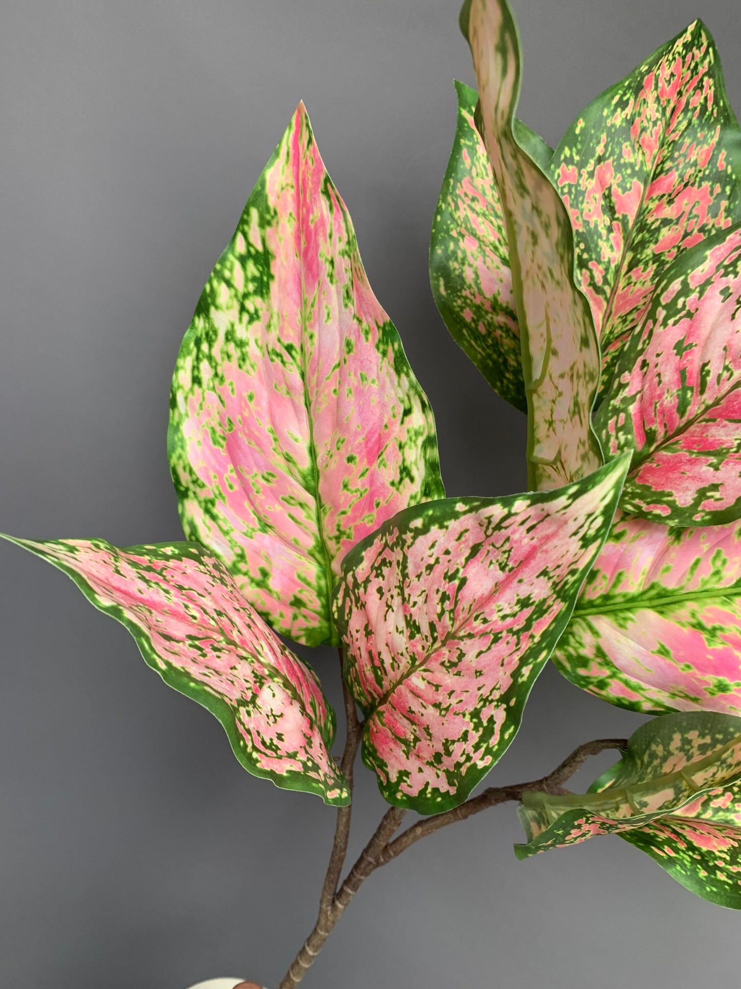 Premium Aglaonema Pink Star Chinese evergreen green artificial flower faux flower 31 inch