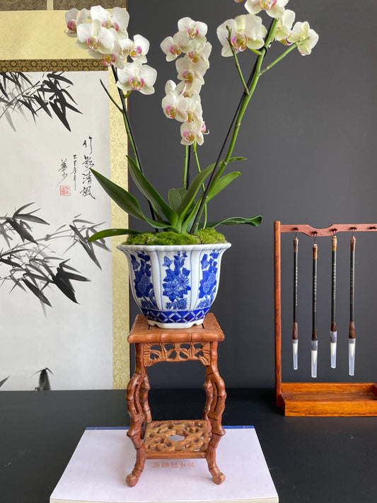 Blue and White Porcelain Planter Ceramic Flower Pot Chinoiserie Cachepot Fluted Oriental Orchid Pot traditional Botanical Decor Large