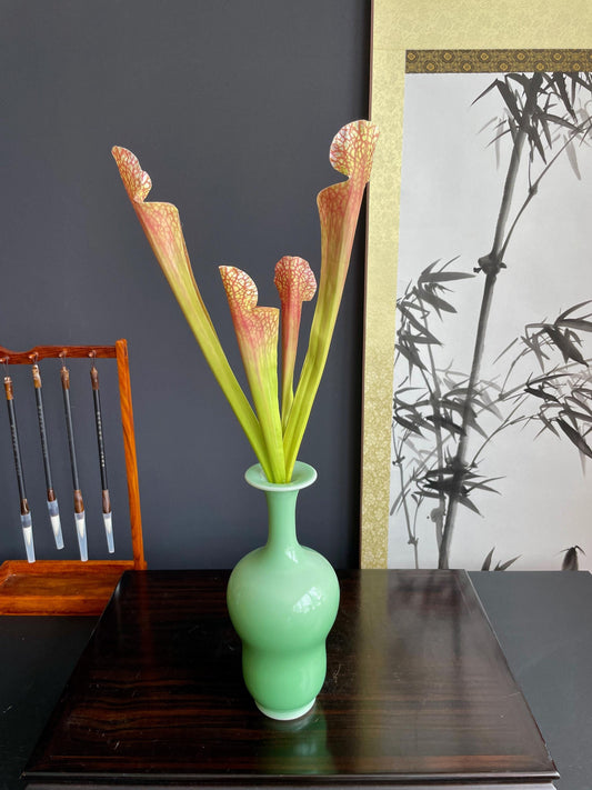 Faux Pitcher Plant Stems Artificial Sarracenia Silk Botanical Fake Carnivorous Plant Stems Realistic Greenery Traditional Floral Arranging