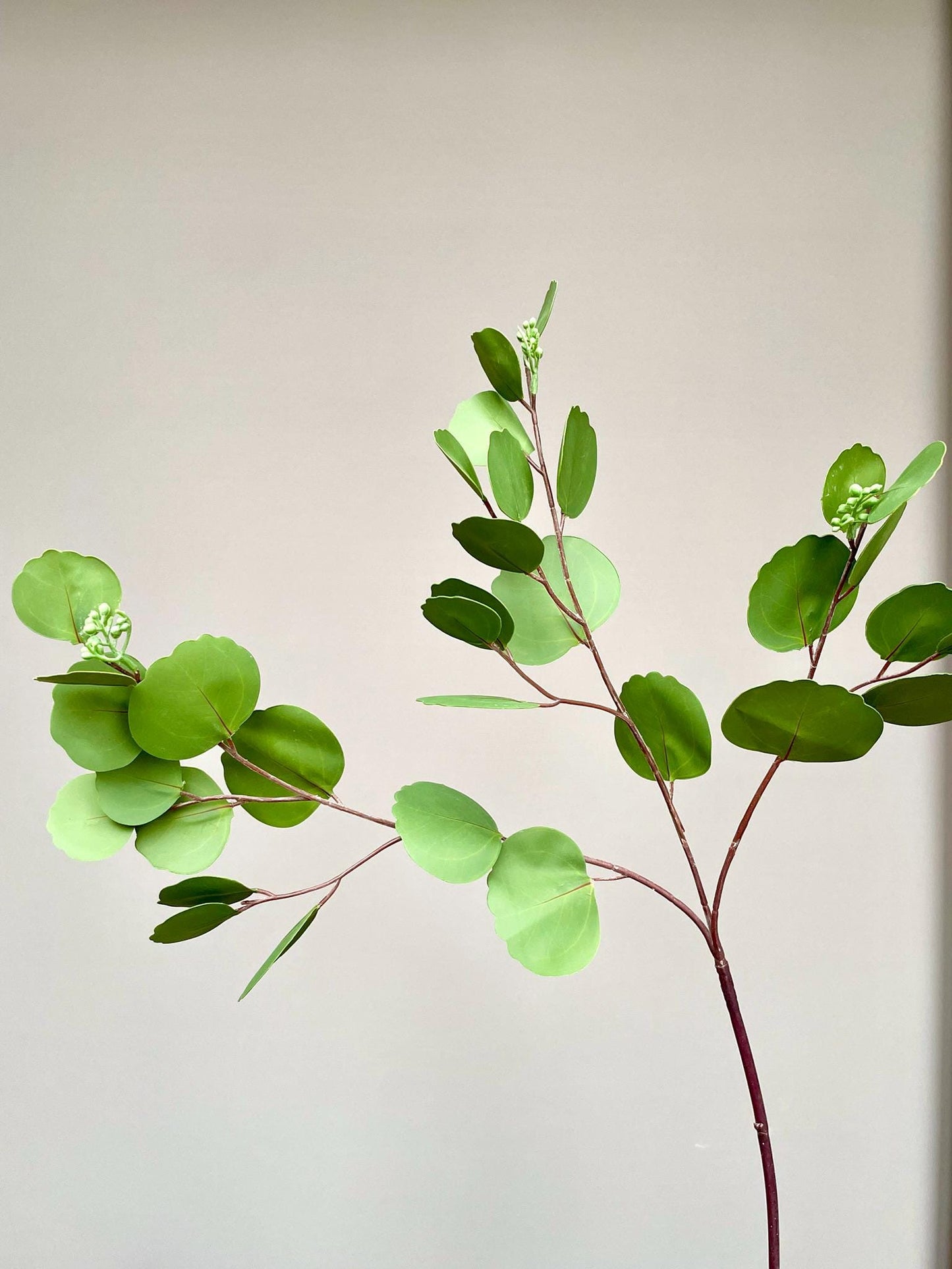 Lifelike Green Eucalyptus Spray, Faux Seeded Foliage, Red Stem Greenery, Chinoiserie Vase Filler, Tropical Botanical Home Decor