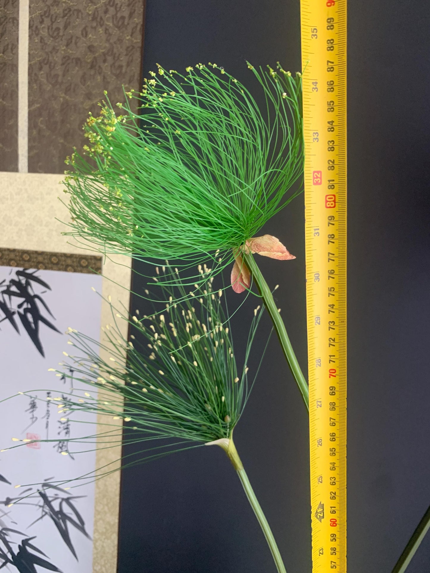 Faux Papyrus Stem Single Artificial Egyptian Sedge Branch Silk Botanical Fake Umbrella Plant Traditional Architectural Tall Vase Filler