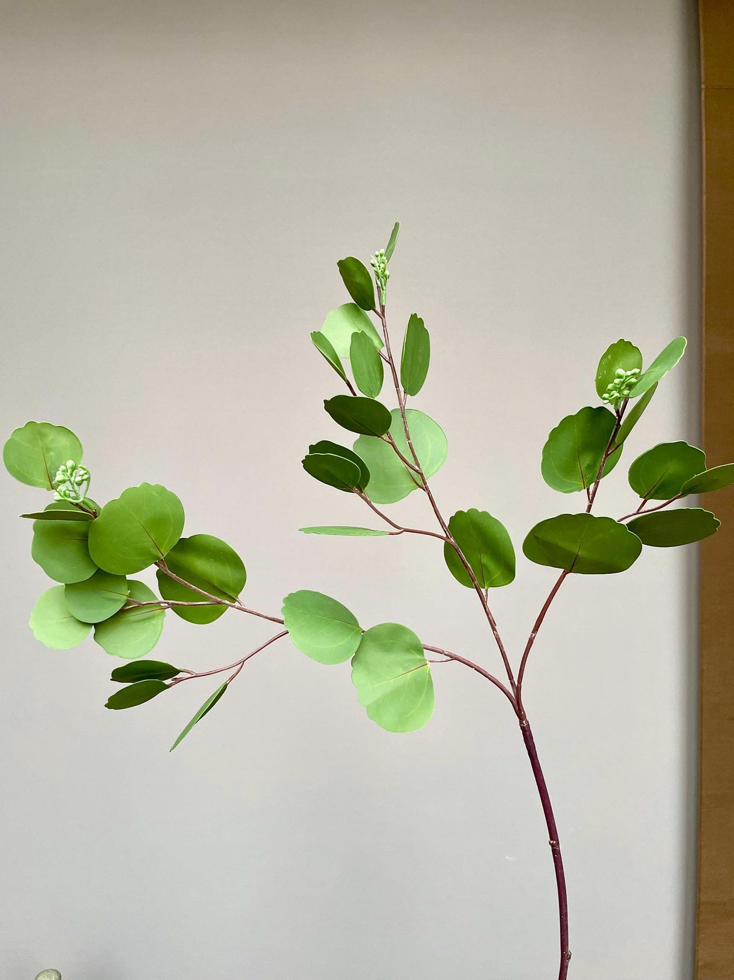 Lifelike Green Eucalyptus Spray, Faux Seeded Foliage, Red Stem Greenery, Chinoiserie Vase Filler, Tropical Botanical Home Decor