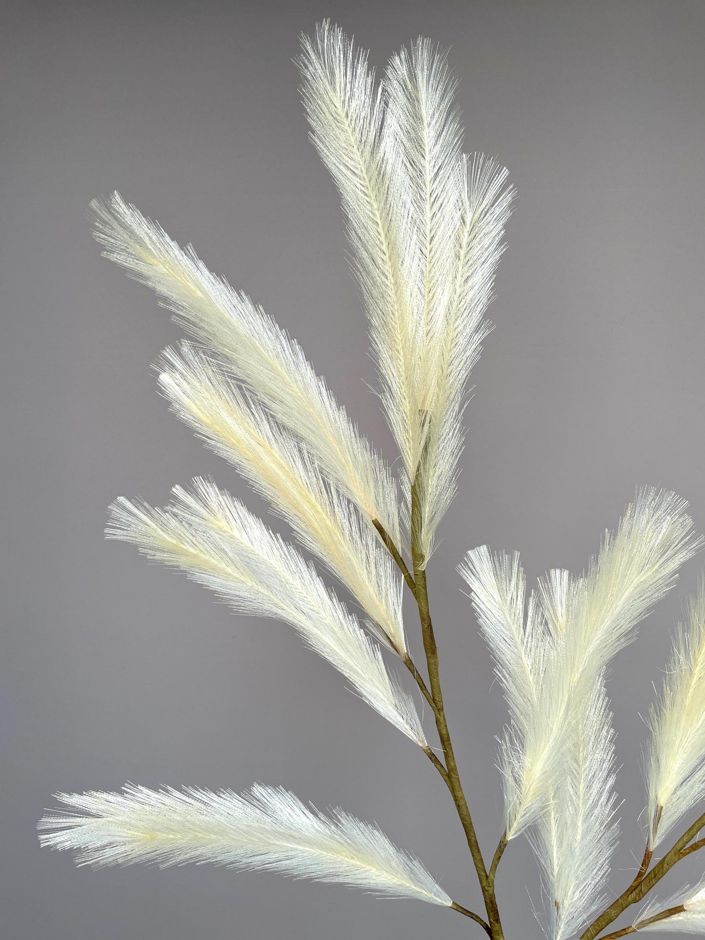 Large Realistic Artificial Pampas Grass Branch Faux Feathery Plume Stem - Minimalist Cream White Greenery for Tall Vases - Luxury Home Decor