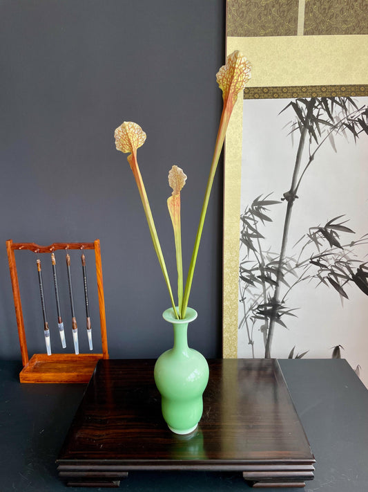 Faux Pitcher Plant Stems Artificial Sarracenia Silk Botanical Fake Carnivorous Plant Stems Realistic Greenery Traditional Floral Arranging