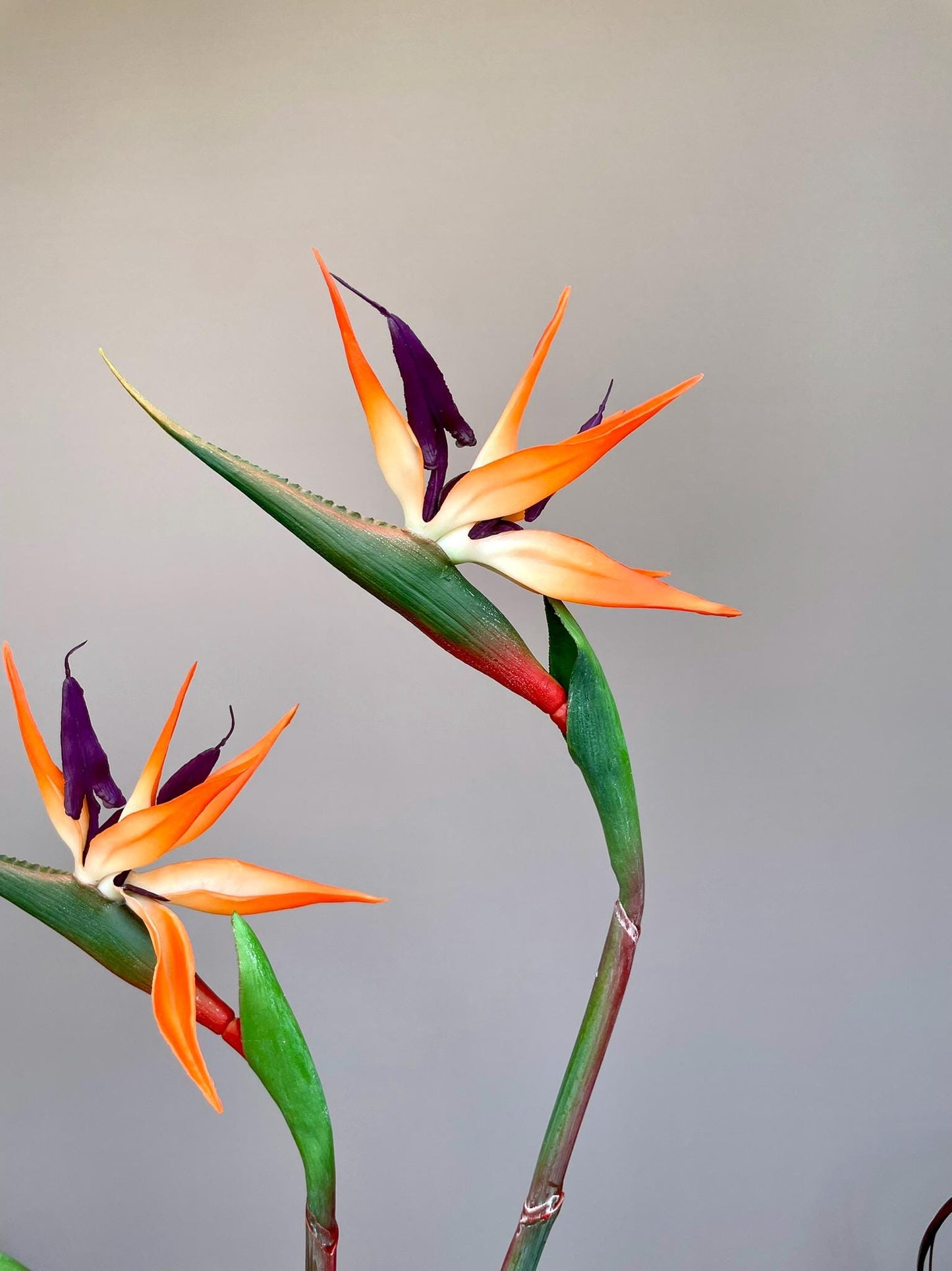 Artificial Bird of Paradise Stem | Faux Tropical Flower | Realistic Exotic Decor for Home, Event, or Arrangement