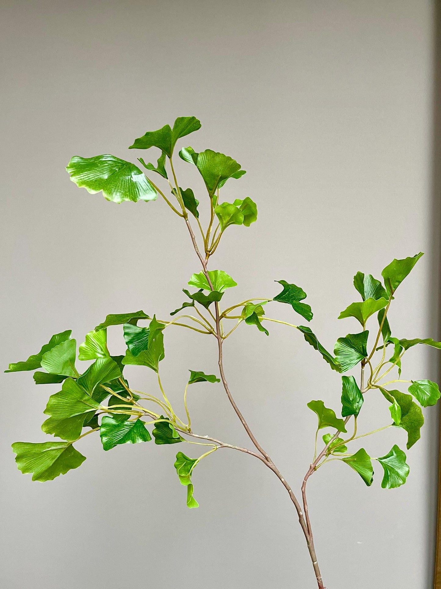 Premium Faux Ginkgo Stem, Green Fan Leaf Spray, Symbolic Longevity Botanical, Chinoiserie Vase Filler, Large Silk Greenery Branch