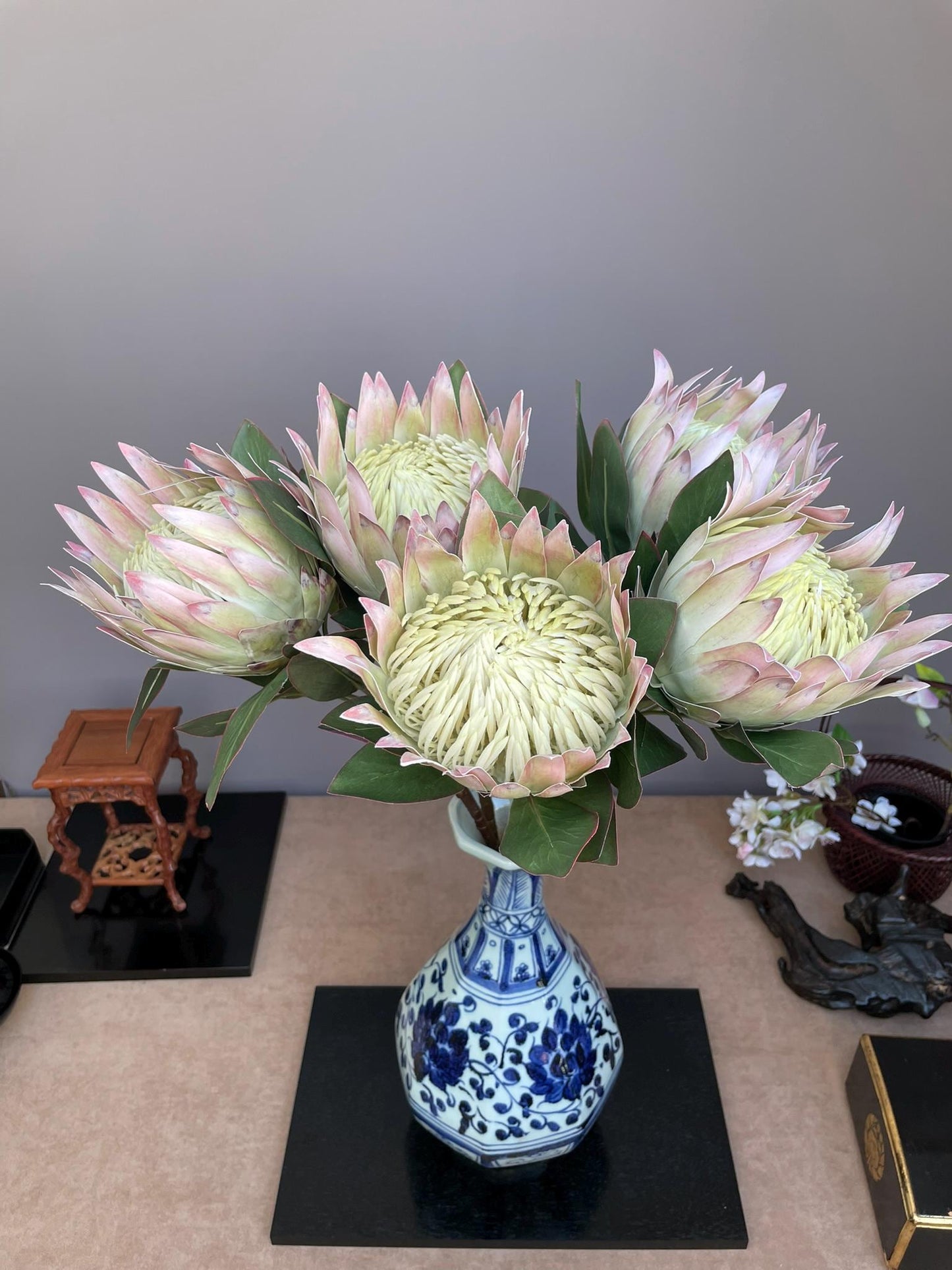 Giant Artificial Blush Pink King Protea Stem - Faux Pale Green & Pink Bloom - Exotic Tropical/Coastal Flower Head Decor(73cm)