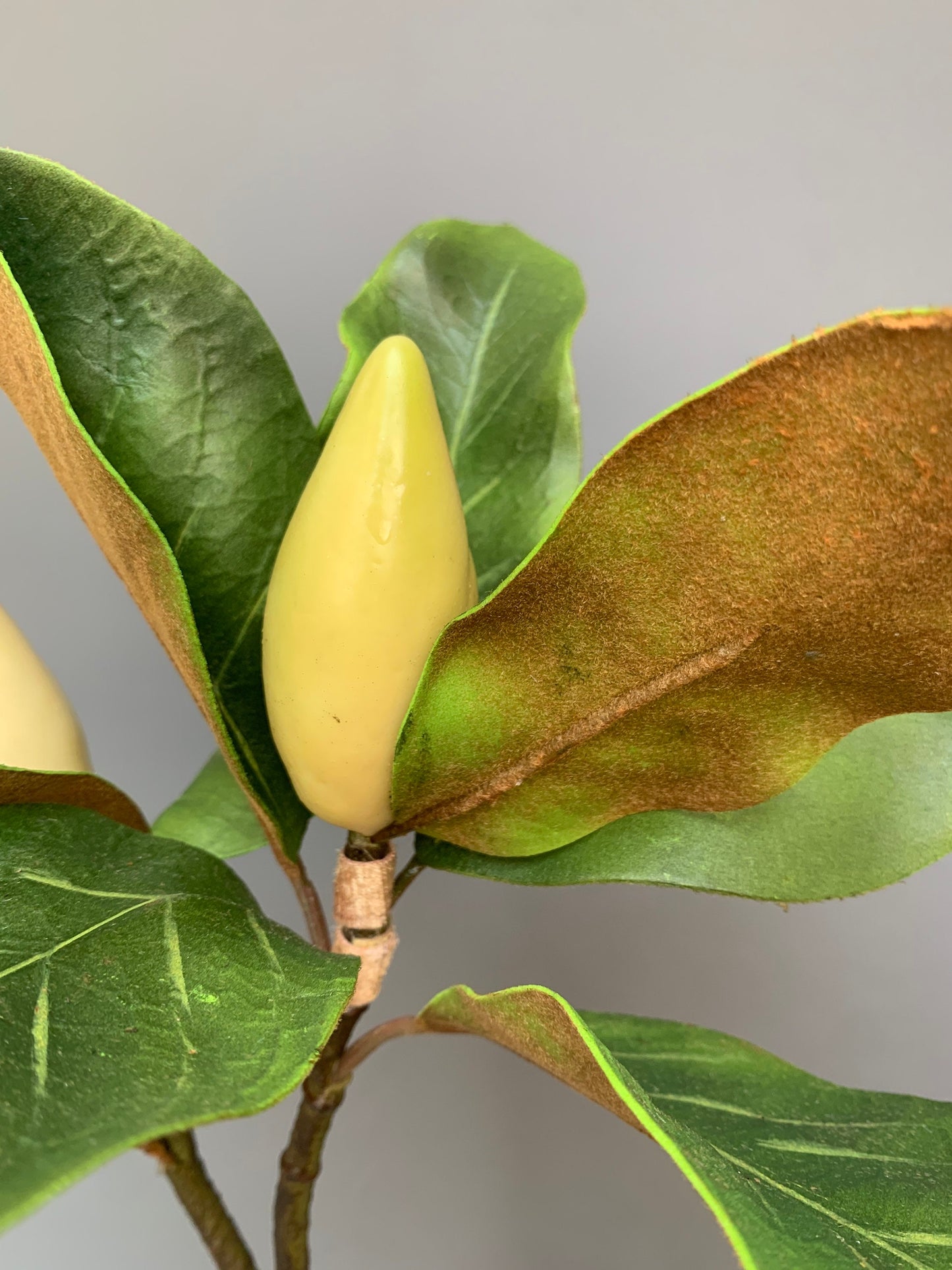 Premium Artificial Magnolia buds in leaf green artificial flower faux flower 24 inch